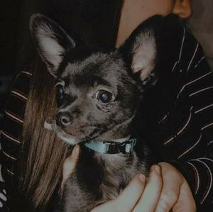 Meet your Posher, Cecilia